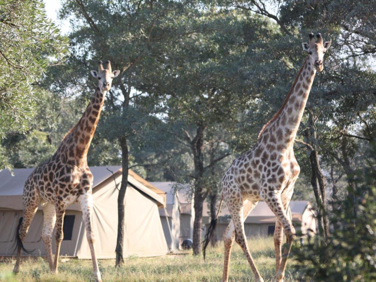 Unyati Safari Lodge Hectorspruit Exterior photo