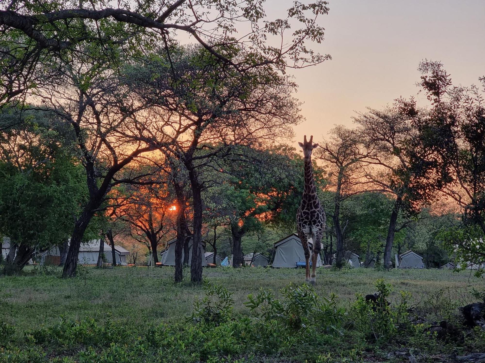 Unyati Safari Lodge Hectorspruit Exterior photo